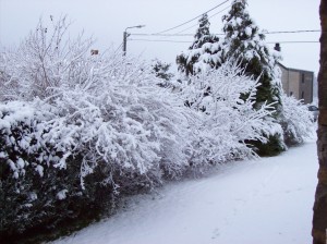 1ière neige  20 -11-2013 001