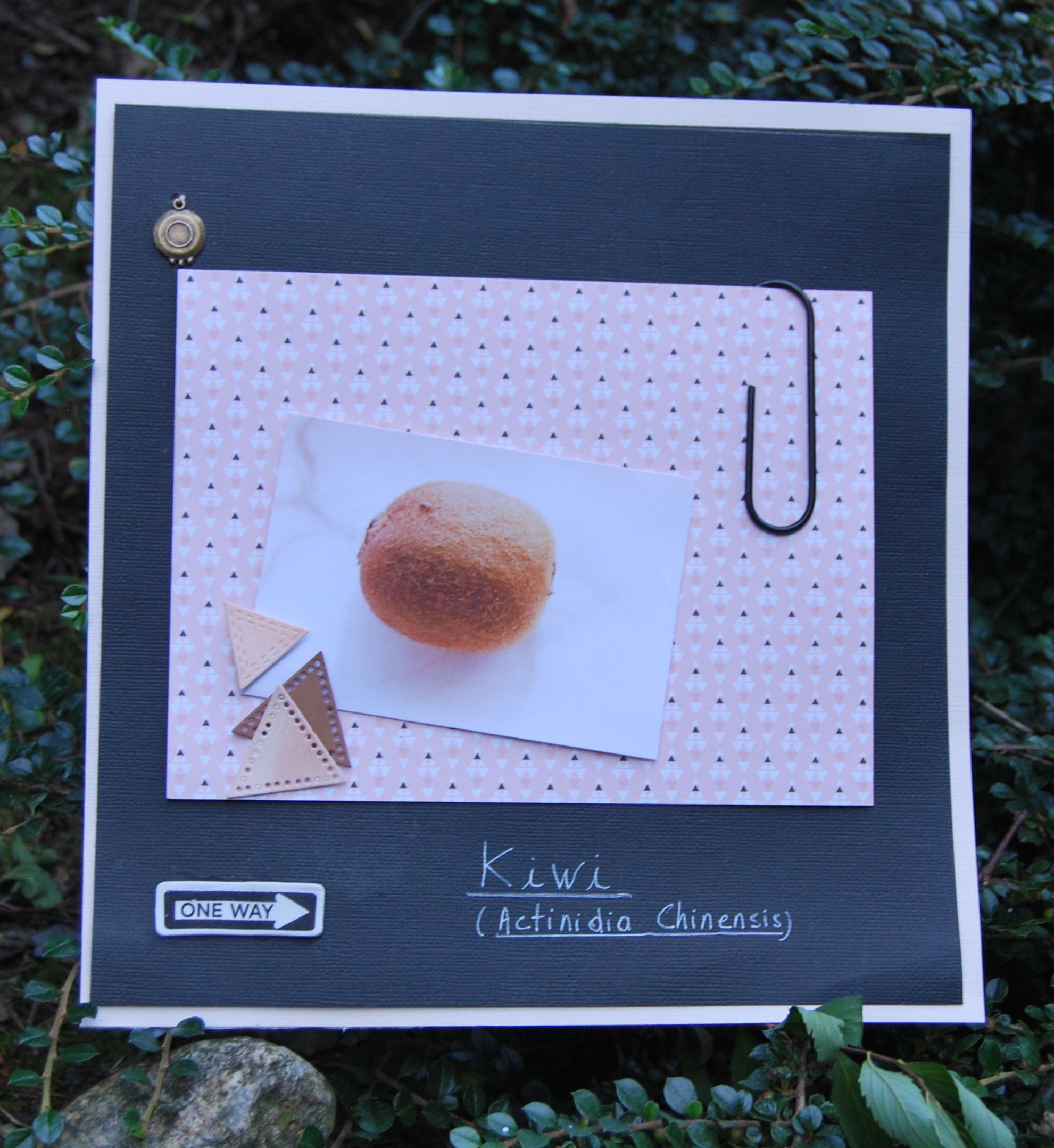 Lacas - challenge 5 (1)