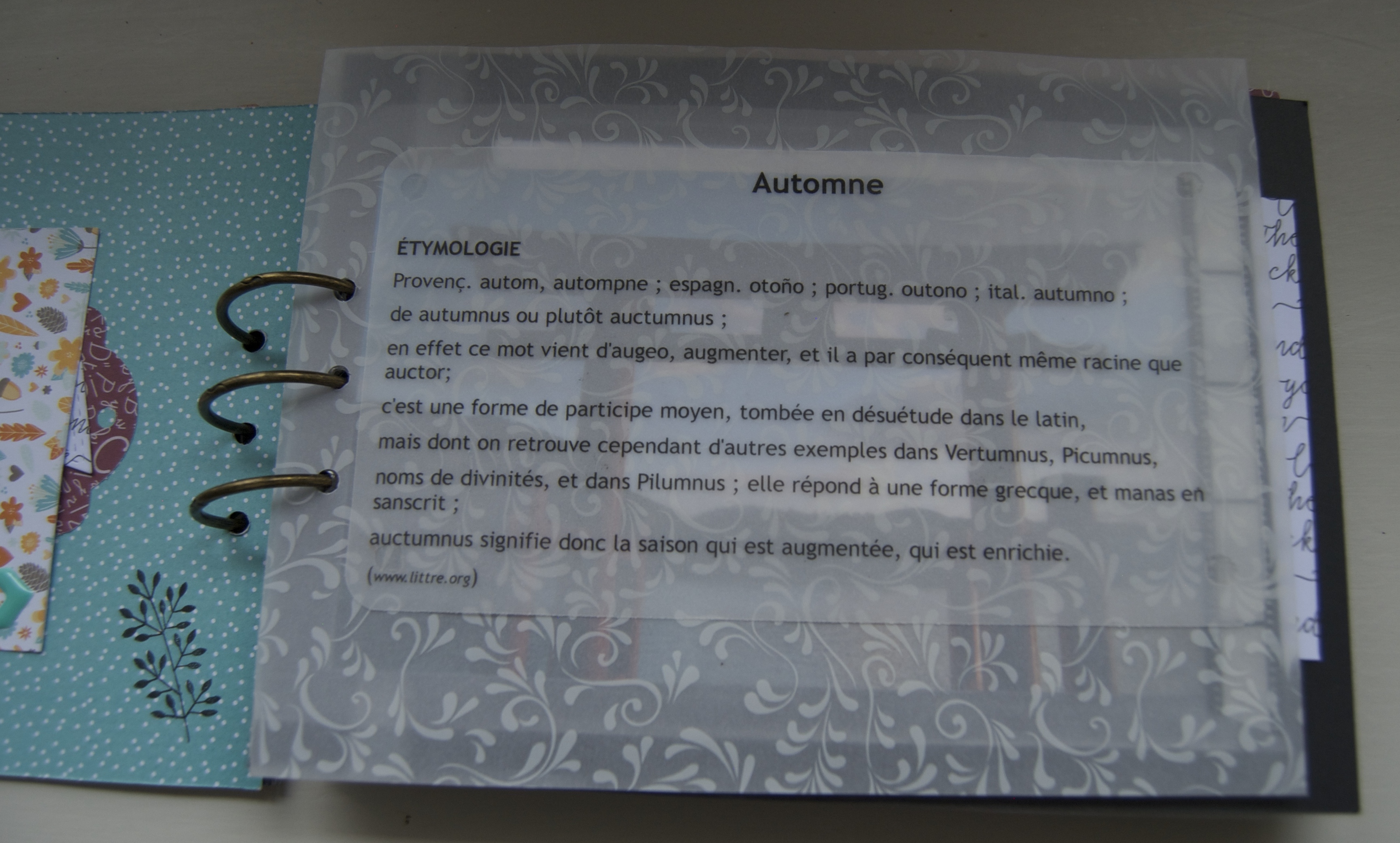 blog-5-automne