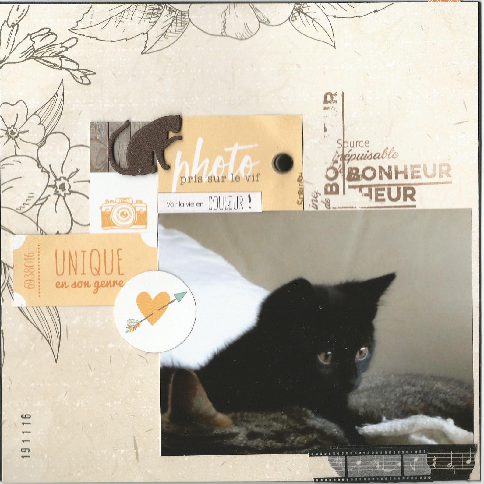 cat-album-6